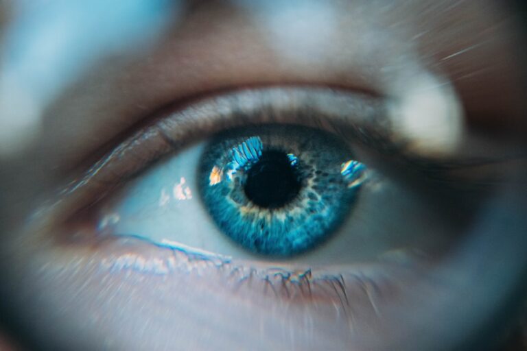Photo by Ion Fet on Unsplash